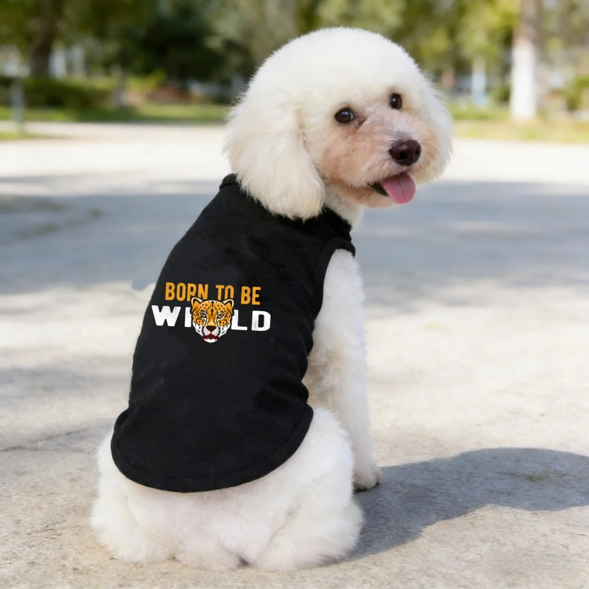 Camiseta Estampada para Cães e Gatos — Confortável e Cheia de Estilo 🐶🐱✨