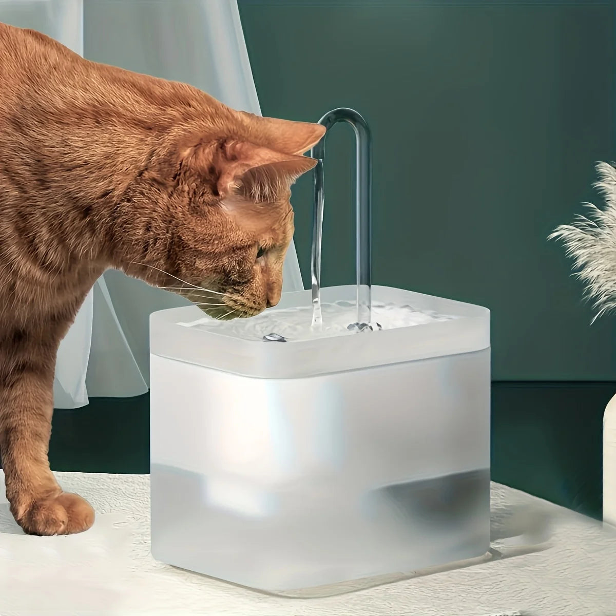 Fonte Automática para Gatos e Cachorros — Seu Pet Sempre Hidratado 💧🐾
